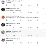 Social media users speculated about the animal and shared tons of responses, guessing what the "mystery animal" could be. (Image via Twitter)